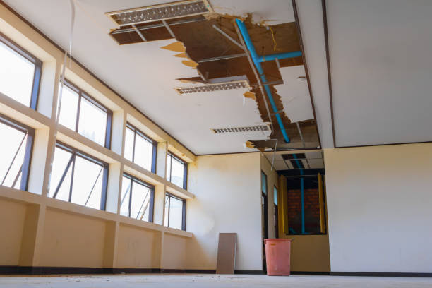 Best Carpet water damage restoration  in Lanark, IL
