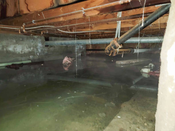 Best Flooded house restoration  in Lanark, IL