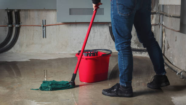 Best Professional water damage repair  in Lanark, IL