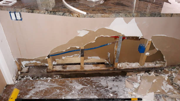 Best Water damage cleanup near me  in Lanark, IL