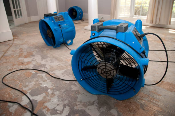 Best Residential water damage restoration  in Lanark, IL