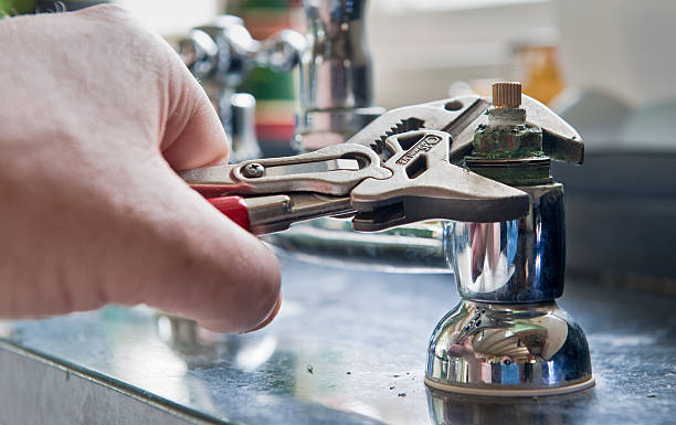Best Water damage cleanup near me  in Lanark, IL