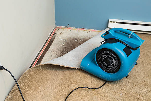 Best 24-hour water damage restoration  in Lanark, IL